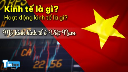 Kinh tế là gì? Hoạt động kinh tế là gì? Mô hình kinh tế ở Việt Nam